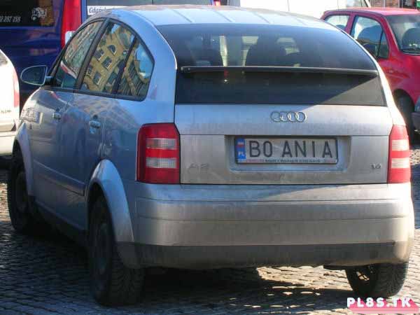 b0_ania.jpg