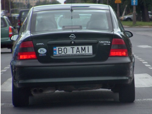 b0_tami.jpg