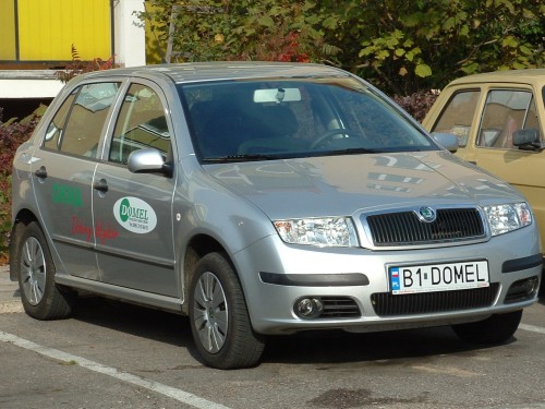 b1_domel.jpg