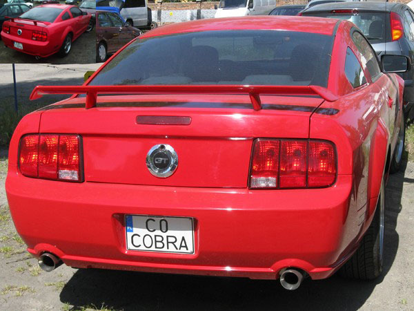 c0_cobra.jpg