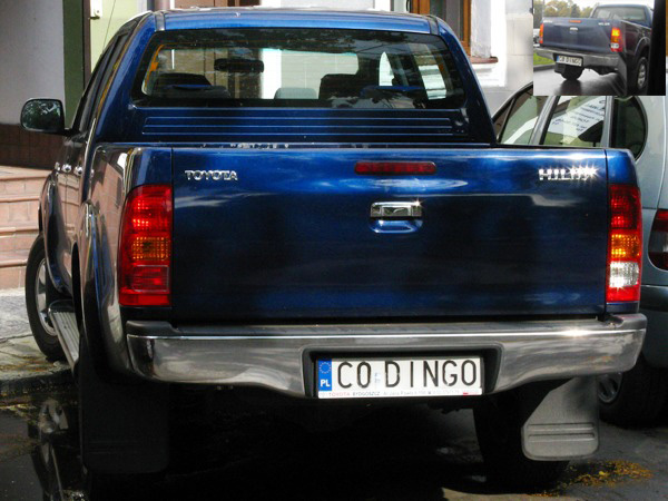 c0_dingo.jpg