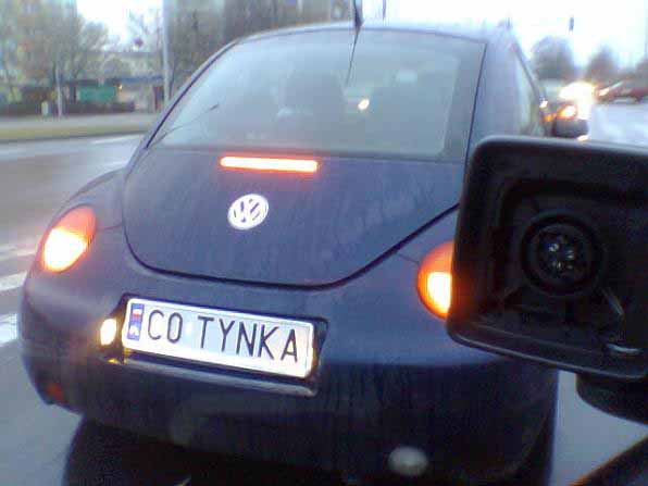 c0_tynka.jpg