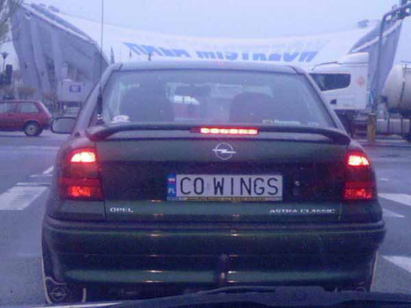 c0_wings.jpg