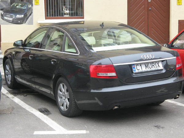 c1_murix.jpg