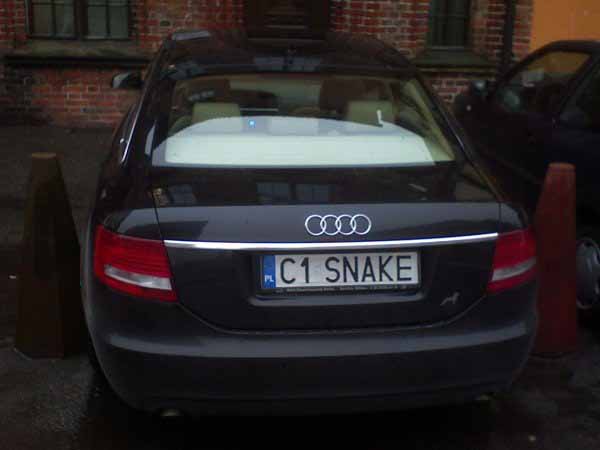 c1_snake.jpg