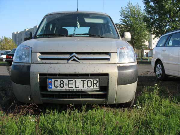 c8_eltor.jpg