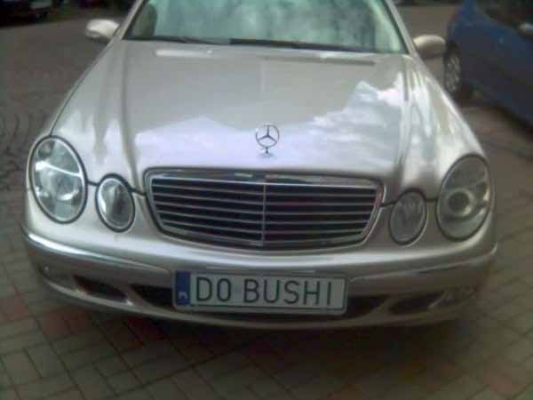 d0_bushi.jpg