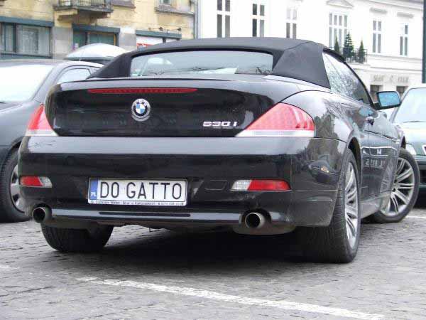 d0_gatto.jpg