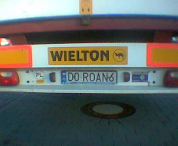 d0_roan6.jpg