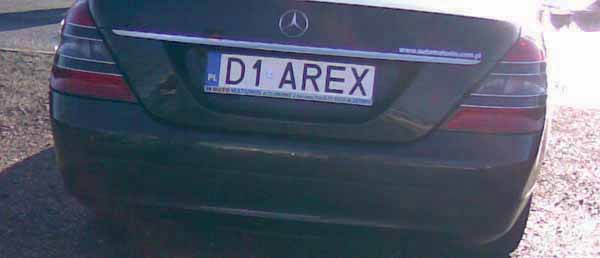 d1_arex.jpg