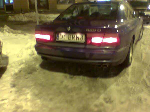 d1_bmw8.jpg