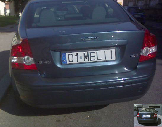d1_melii.jpg