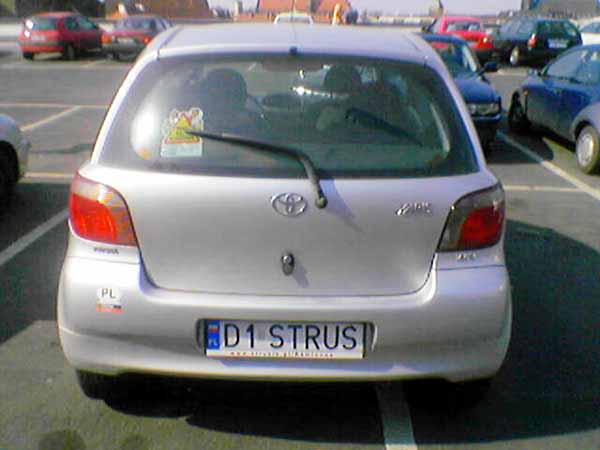 d1_strus.jpg