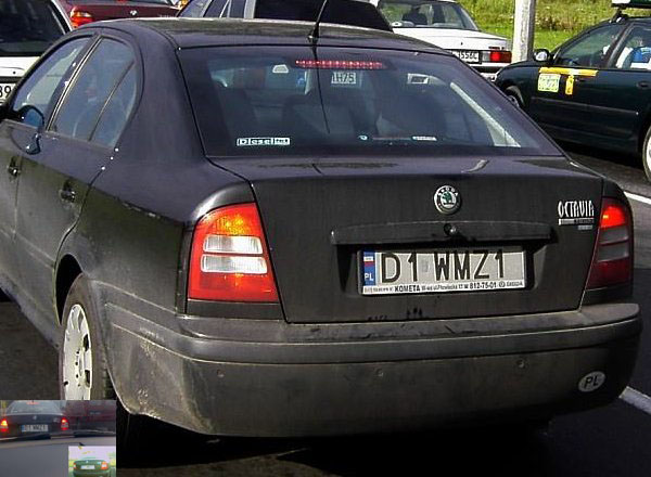 d1_wmz1.jpg
