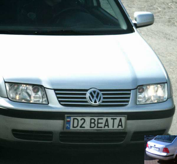 d2_beata.jpg