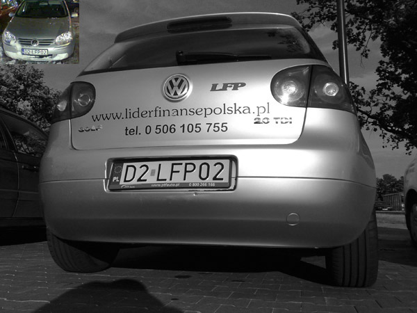 d2_lfp02.jpg