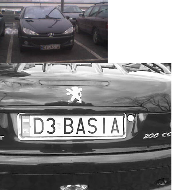 d3_basia.jpg