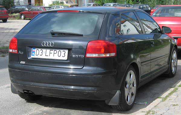 d3_lfp03.jpg
