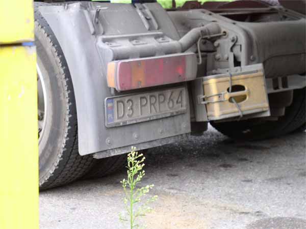 d3_prp64.jpg