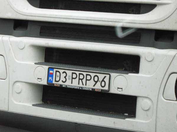 d3_prp96.jpg