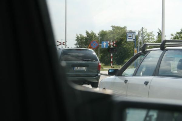 d4_gosia.jpg