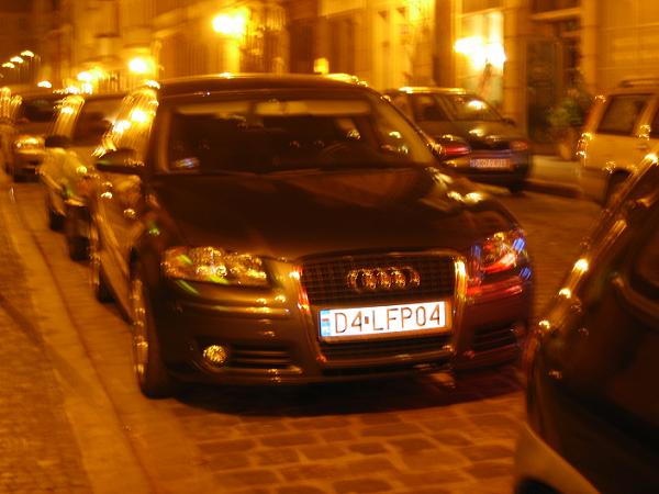 d4_lfp04.jpg