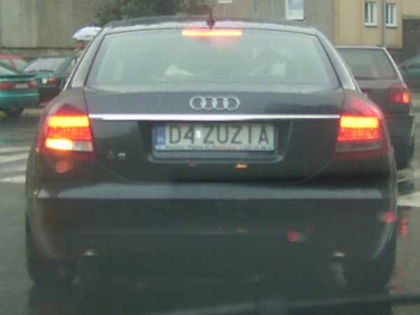 d4_zuzia.jpg