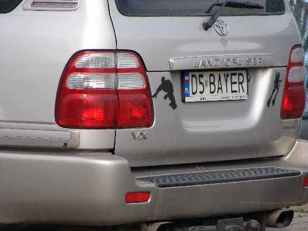 d5_bayer.jpg