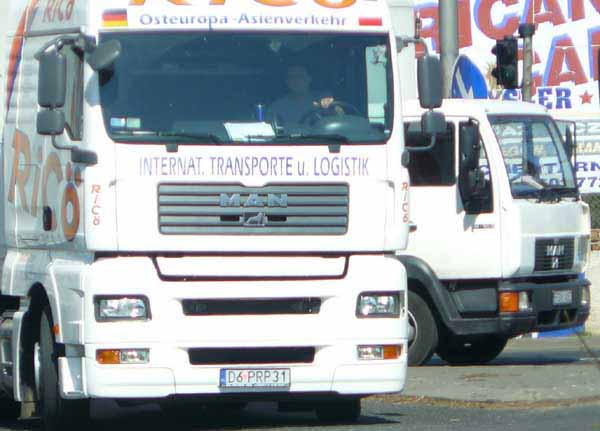 d6_prp31.jpg