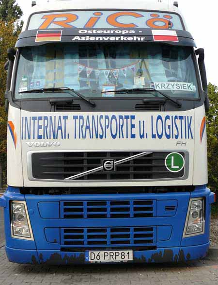 d6_prp81.jpg