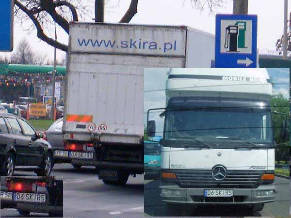 d6_skirs.jpg