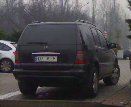d7_vip.jpg