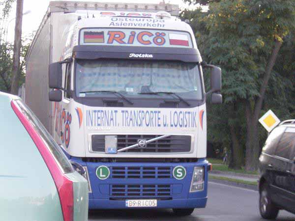 d9_rico5.jpg