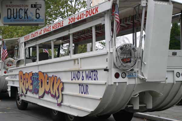 duck6.jpg