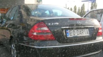 e0_daria.jpg