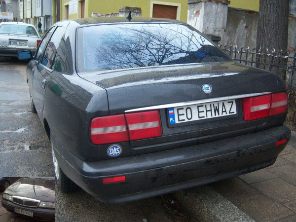 e0_ehwaz.jpg
