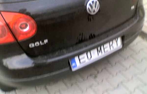 e0_mery.jpg