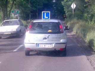 e0_wild.jpg