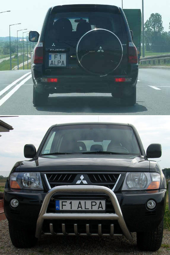 f1_alpa.jpg