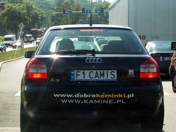 f1_camis.jpg