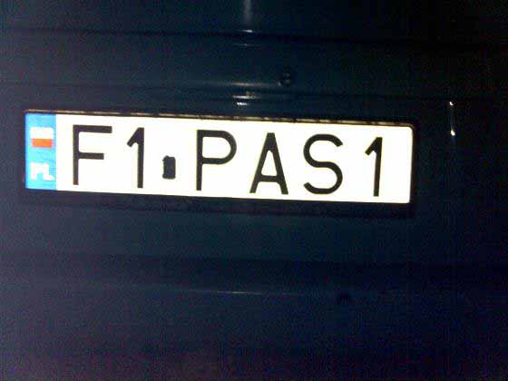 f1_pas1.jpg