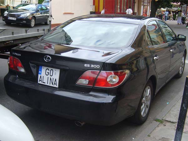 g0_alina.jpg