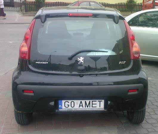 g0_amet.jpg