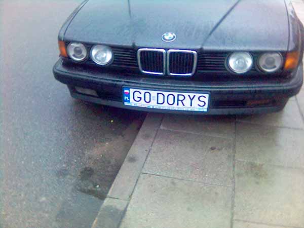 g0_dorys.jpg