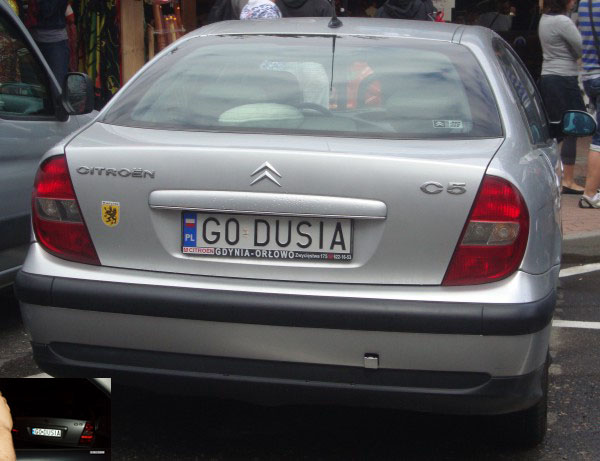 g0_dusia.jpg