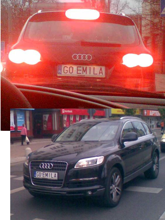 g0_emila.jpg