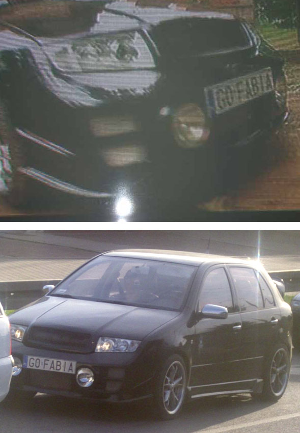 g0_fabia.jpg
