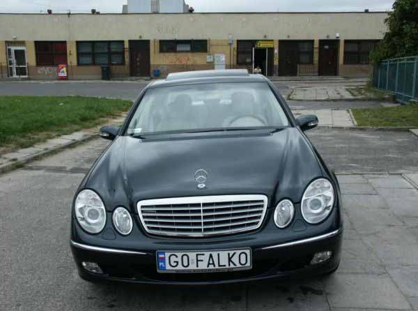 g0_falko.jpg