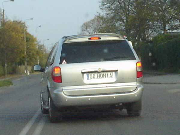 g0_honia.jpg