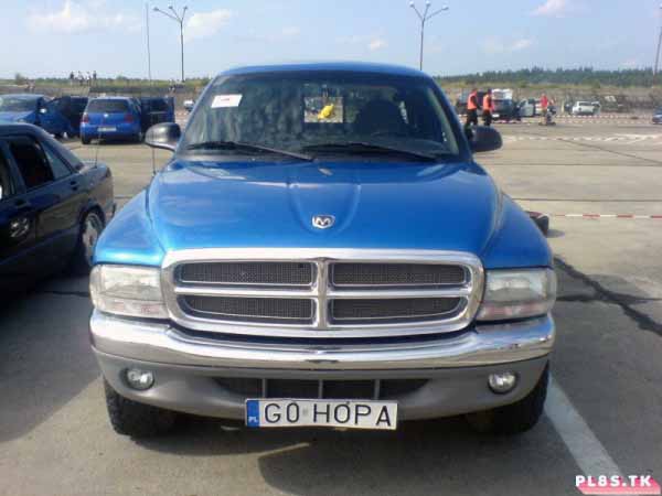 g0_hopa.jpg